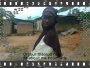 ohyinlola