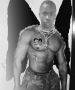 seneroz