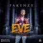 Pakenzy ft Think2ice