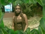 ilanix