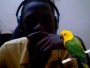nashflex