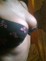 Febelicious