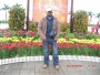 donmorex