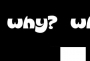 whywhy