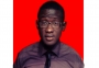 drikojigzy