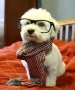 chidubee
