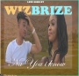 Wizbrize