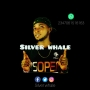 Silver Whale 