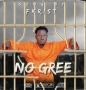 NO GREE by Fkrist 