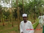 amawoo