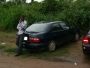 omitex4all