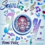 Femi Felix