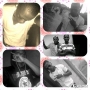 SAMWHITE