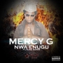 Mercy G Nwa Enugu