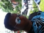 4arid_KT