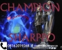 Champion by Sharppo