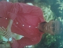 todayo