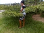 Elegbee