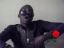 torise
