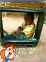 samboye24