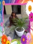 chiback212
