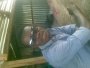 amase