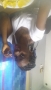 Salma_pop