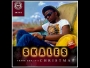 Thank God Its Christmas by Skales
