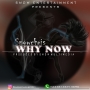 Why Now by Snowchris