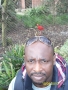 dagreen1