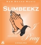 Slimbeekz