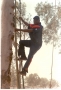 jumbodaniel