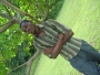 nedu_001