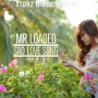 Mr loaded