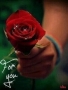valentine200