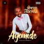 Seun Adeyela