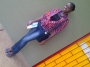 amajesty