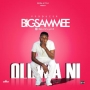 BigSammee 