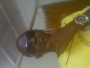 alans05