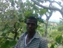 songbello
