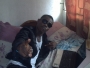 royalkingrome