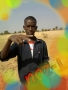 Talltidiane