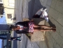 deb_ibi