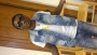 nze20