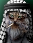 Alhajireb