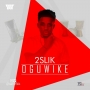 2Slik