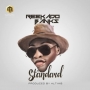 Standard by Reekado Banks (Prod. By Altims)