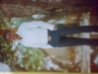 Stanlaw