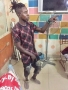 dexxft dee master