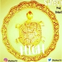 SHYBOY